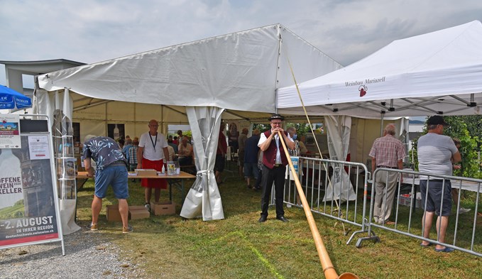Carlo Piani spielte vor dem Zelt des Winzerfests Alphorn.  (Foto Thomas Stillhart)