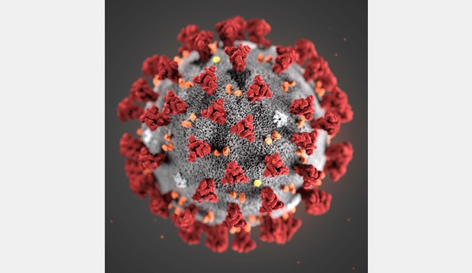 Das Coronavirus bleibt auch im Jahr 2021 präsenter, als vielen lieb sein dürfte. (Visualisierung zVg)