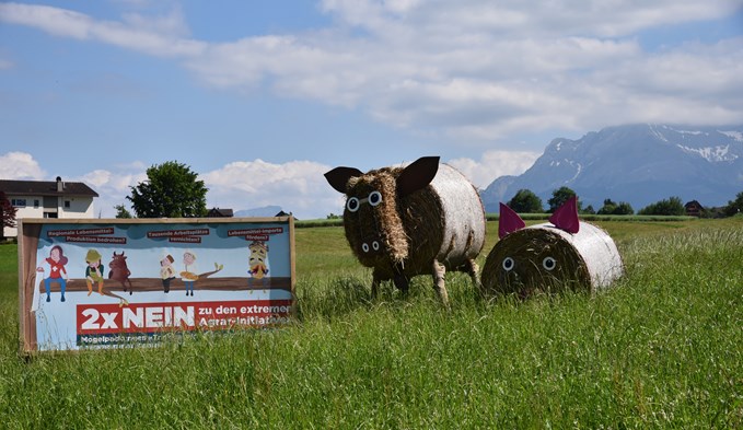 Waren auch in der Region allgegenwärtig: Zeichen der Kampagne gegen die Agrarinitiativen. (Foto Geri Wyss)