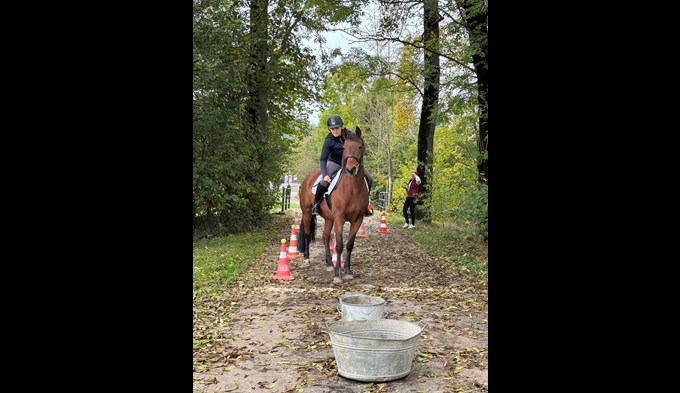 Auch das Hufeisenwerfen war ein Highlight am Patrouillenritts. (Foto zVg)